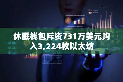 休眠钱包斥资731万美元购入3,224枚以太坊