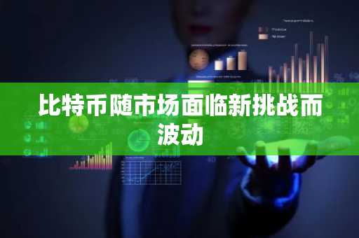 比特币随市场面临新挑战而波动