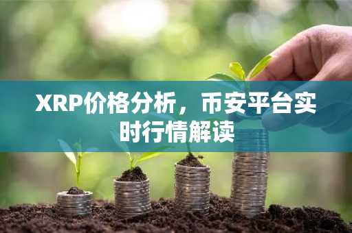 XRP价格分析，币安平台实时行情解读