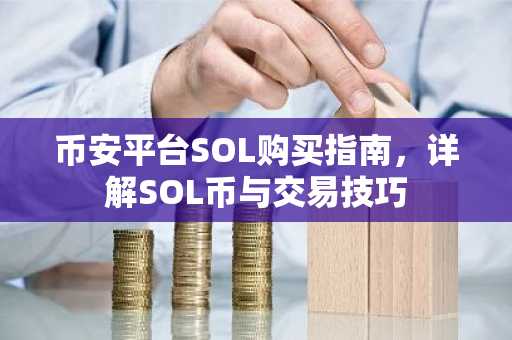 币安平台SOL购买指南,详解SOL币与交易技巧