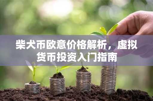 柴犬币欧意价格解析，虚拟货币投资入门指南