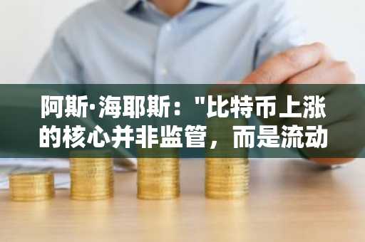 阿斯·海耶斯："比特币上涨的核心并非监管，而是流动性"