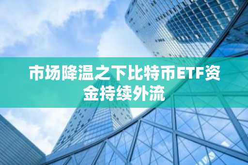 市场降温之下比特币ETF资金持续外流