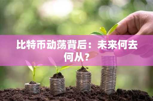比特币动荡背后：未来何去何从？