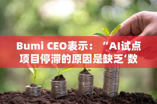 Bumi CEO表示：“AI试点项目停滞的原因是缺乏‘数据激活’”