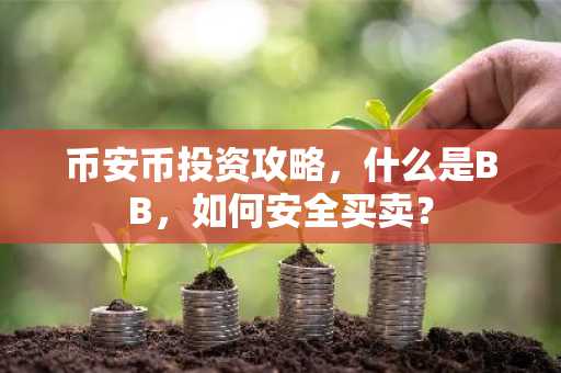 币安币投资攻略,什么是BB,如何安全买卖?