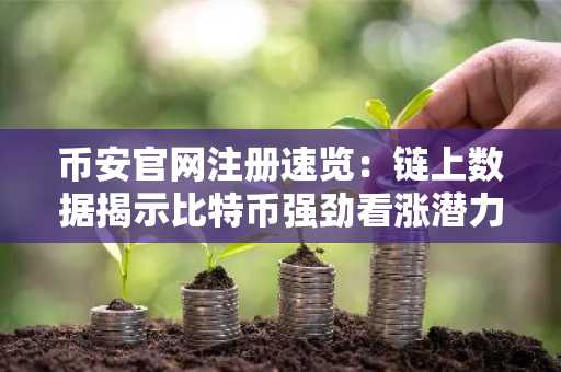 币安官网注册速览：链上数据揭示比特币强劲看涨潜力