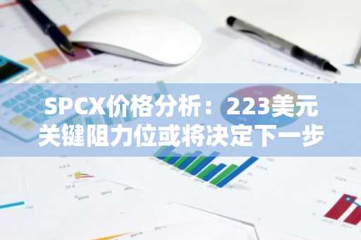 SPCX价格分析:223美元关键阻力位或将决定下一步重大走势