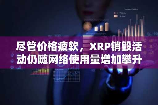 尽管价格疲软,XRP销毁活动仍随网络使用量增加攀升17%