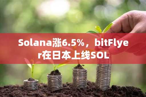 Solana涨6.5%，bitFlyer在日本上线SOL