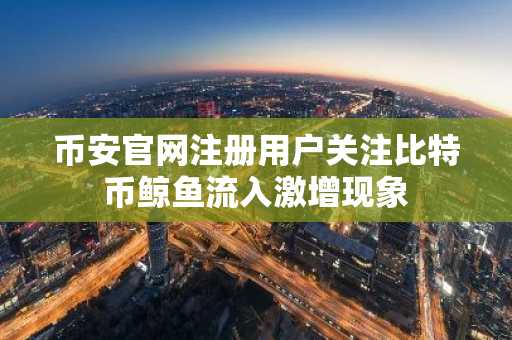 币安官网注册用户关注比特币鲸鱼流入激增现象