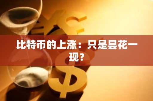 比特币的上涨:只是昙花一现?