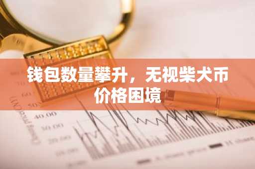 钱包数量攀升,无视柴犬币价格困境
