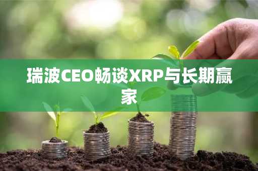 瑞波CEO畅谈XRP与长期赢家