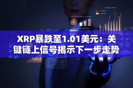 XRP暴跌至1.01美元:关键链上信号揭示下一步走势
