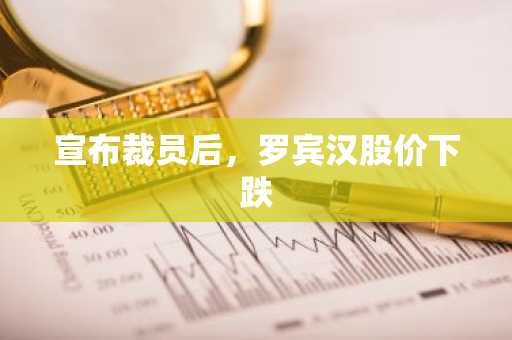 宣布裁员后，罗宾汉股价下跌