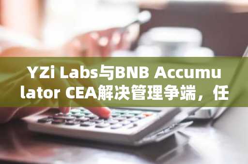 YZi Labs与BNB Accumulator CEA解决管理争端,任命临时总裁