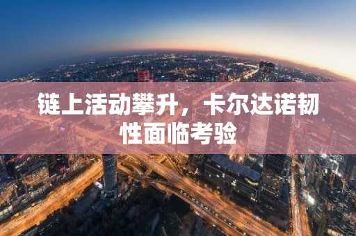 链上活动攀升,卡尔达诺韧性面临考验
