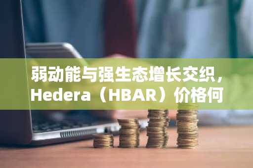 弱动能与强生态增长交织,Hedera(HBAR)价格何去何从?