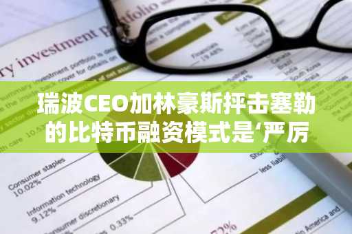 瑞波CEO加林豪斯抨击塞勒的比特币融资模式是‘严厉指控’