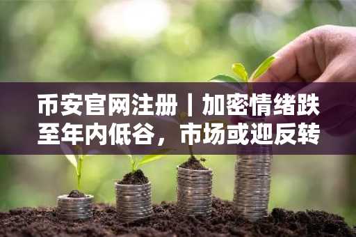 币安官网注册｜加密情绪跌至年内低谷，市场或迎反转信号