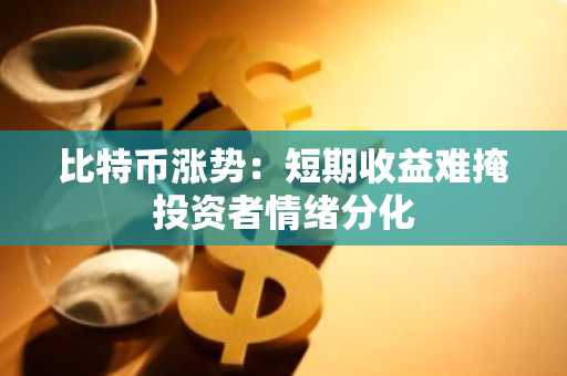 比特币涨势：短期收益难掩投资者情绪分化