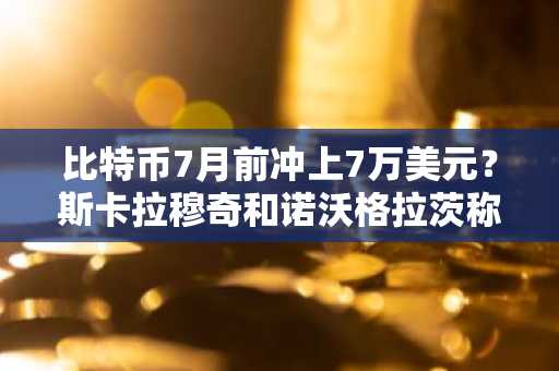 比特币7月前冲上7万美元？斯卡拉穆奇和诺沃格拉茨称有路径可循