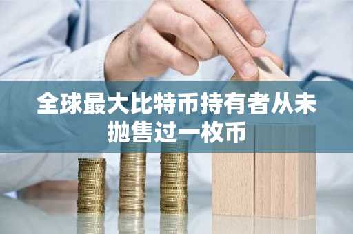 全球最大比特币持有者从未抛售过一枚币