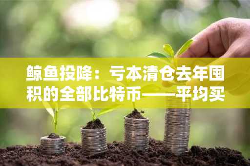 鲸鱼投降：亏本清仓去年囤积的全部比特币——平均买入价与亏损额曝光