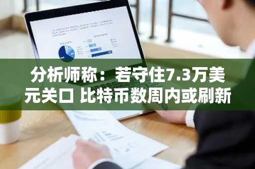 分析师称：若守住7.3万美元关口 比特币数周内或刷新夏季高点