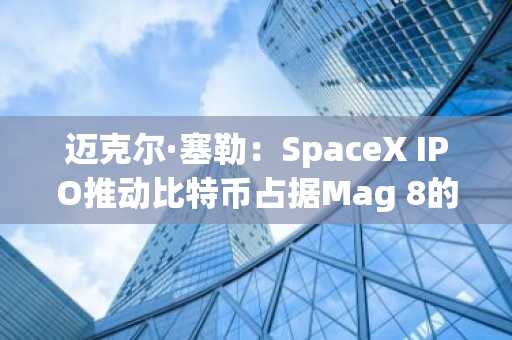 迈克尔·塞勒：SpaceX IPO推动比特币占据Mag 8的25%份额