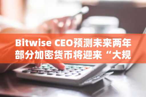 Bitwise CEO预测未来两年部分加密货币将迎来“大规模增长”,类比1990年代互联网