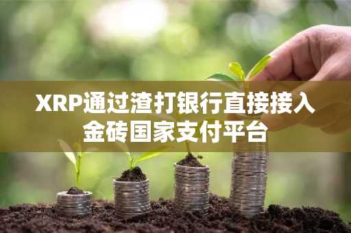 XRP通过渣打银行直接接入金砖国家支付平台
