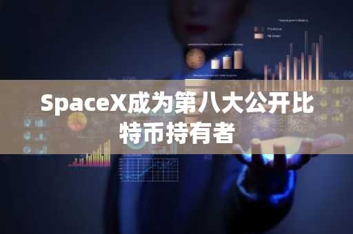 SpaceX成为第八大公开比特币持有者