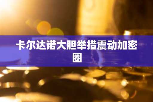 卡尔达诺大胆举措震动加密圈