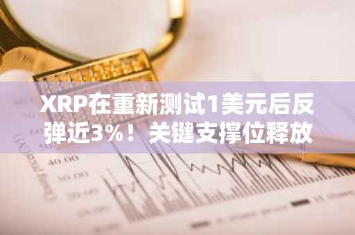 XRP在重新测试1美元后反弹近3%！关键支撑位释放了什么信号？