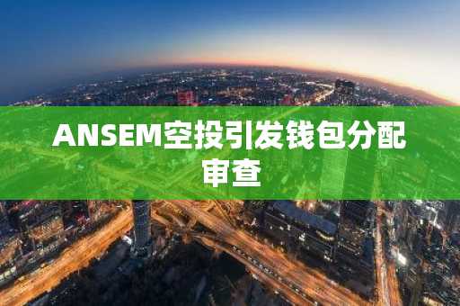 ANSEM空投引发钱包分配审查