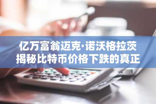 亿万富翁迈克·诺沃格拉茨揭秘比特币价格下跌的真正原因