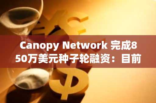 Canopy Network 完成850万美元种子轮融资：目前所知详情