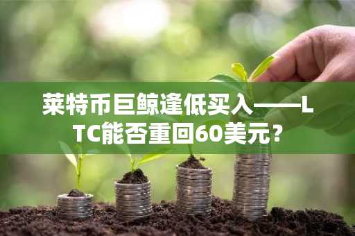 莱特币巨鲸逢低买入——LTC能否重回60美元？