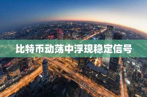 比特币动荡中浮现稳定信号