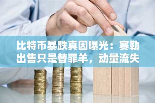 比特币暴跌真因曝光：赛勒出售只是替罪羊，动量流失才是主因