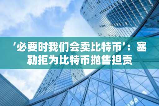 ‘必要时我们会卖比特币’：塞勒拒为比特币抛售担责