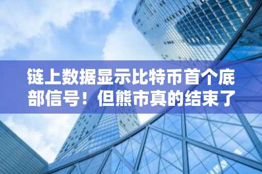 链上数据显示比特币首个底部信号!但熊市真的结束了吗?分析师解答!